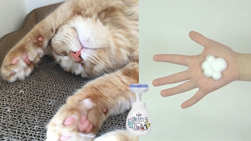 可以擠出肉球的洗手乳！花王推出「貓掌泡泡洗手乳」，貓奴們看到都暴動了～