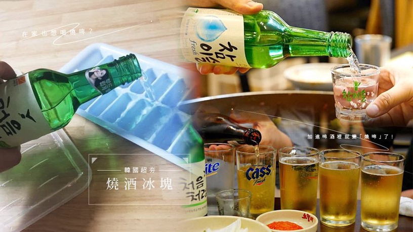 韓國很夯的「燒酒冰塊」原來製作過程這麼簡單!加進啤酒裡就變「燒啤」了!