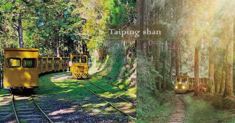 宜蘭太平山「蹦蹦車」全線恢復行駛!全程3公里盡情吸收芬多精,票價、時刻表一次看
