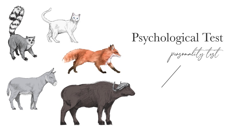 超神準動物心理測驗!憑直覺選擇動物被開除的原因,測出你人生中最無法拋棄的事情