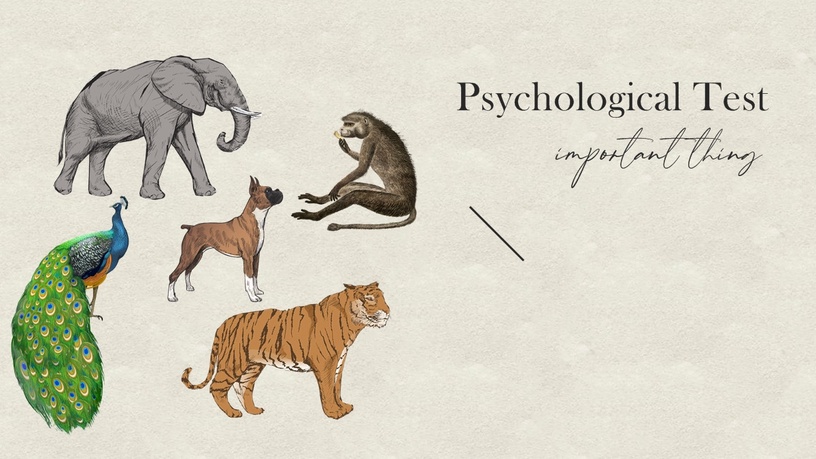 超神準情境心理測驗！險惡叢林中選擇拋棄的動物，測出你人生中最重要的事情