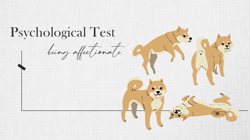 你是愛撒嬌的人嗎?直覺心理測驗,選出喜歡的柴犬、測出你的撒嬌程度有多高