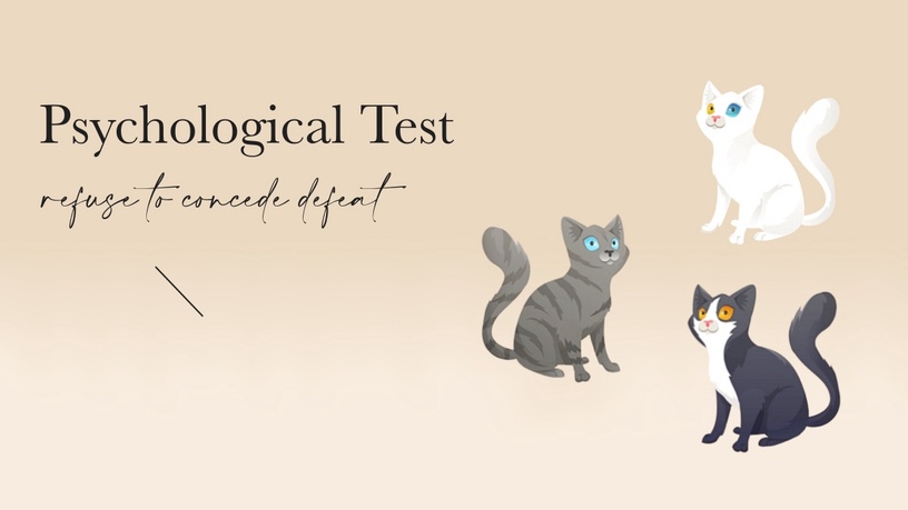 你輸不起嗎？國外爆紅圖片心理測驗，選擇可愛的貓咪、測出你不服輸程度