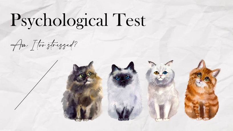 我最近生活壓力大嗎？超神準心理測驗，挑選喜歡貓咪品種，測出隱藏壓力指數＆人生觀