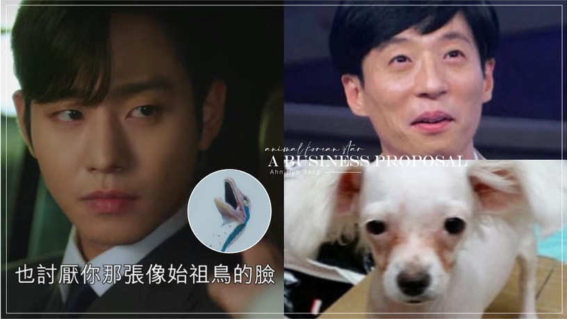 像動物的韓星!《社內相親》安孝燮像始祖鳥?孔劉像恐龍,「撞臉劉在錫的狗狗」最難忘