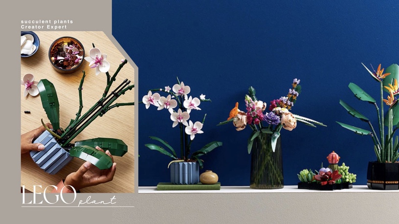 植物也能用拼的!LEGO推出「多肉植物、蘭花、向日葵」樂高組,質感滿分超療癒!