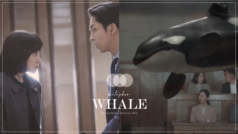 《禹英禑》鯨魚畫面隱喻！背鰭彎曲的虎鯨有深意，英禑對濬浩心動，水面波紋變「海豚」