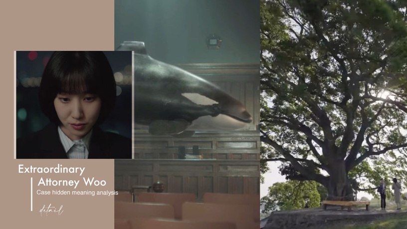 《禹英禑》案件隱藏意義解析!背鰭彎曲的虎鯨以「提利康」為原型,「朴樹」設定藏深意