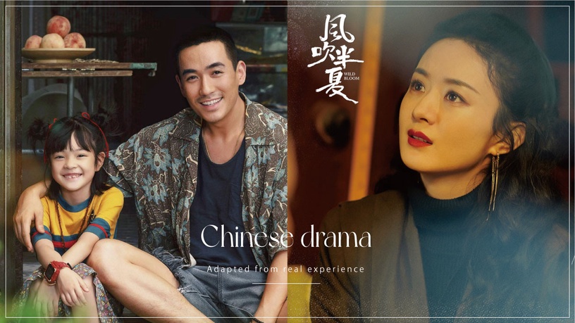 陸劇背後「原型故事」!《風吹半夏》趙麗穎原型竟是作者本人,《人生大事》原型更感人