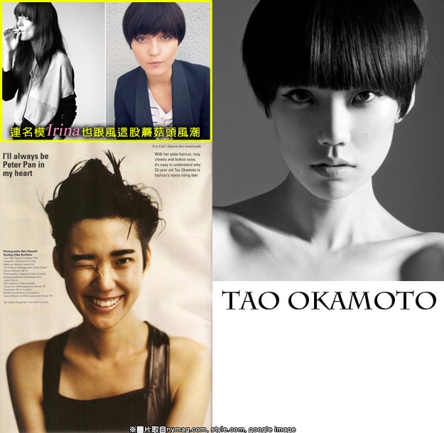 TAO OKAMOTO