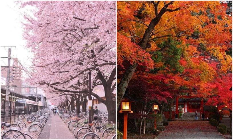 帶媽媽去旅遊吧!五大城市推薦與旅遊撇步!