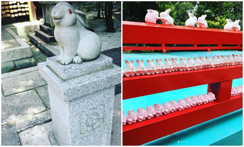 日本五大可愛神社特搜,抽到下下籤也捨不得丟!