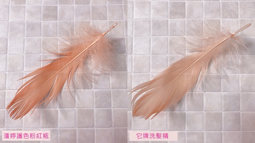 髮界爆紅「潘婷青春露洗髮精」強韌x護色!實測一周斷髮明顯減少、光澤亮兩階不炸色