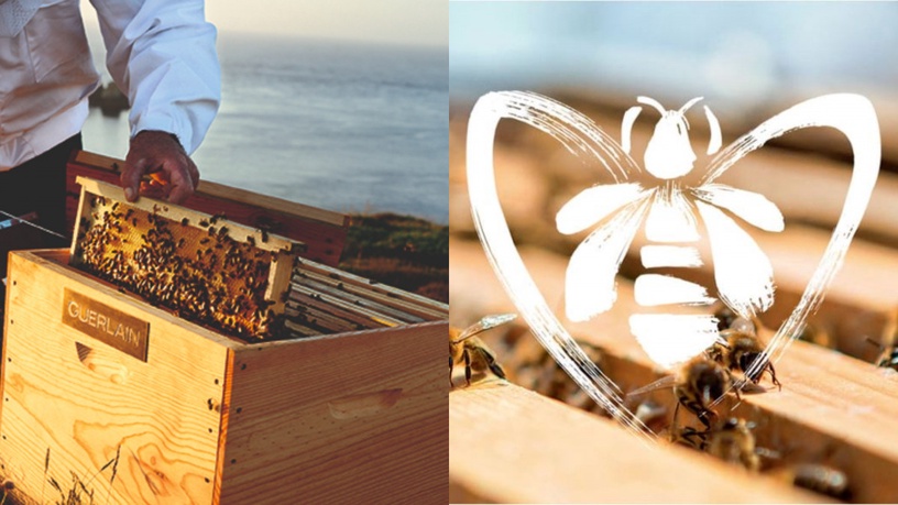 520世界蜜蜂日!嬌蘭代言人雪芙號召 #WorldBeeDay 為世界加點蜜~ 攜手守護蜜蜂與地球