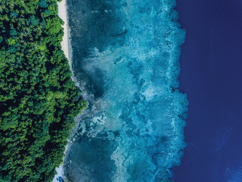 蔚藍在心共續奇蹟,海洋拉娜愛海洋!攜手同心擁抱海洋~