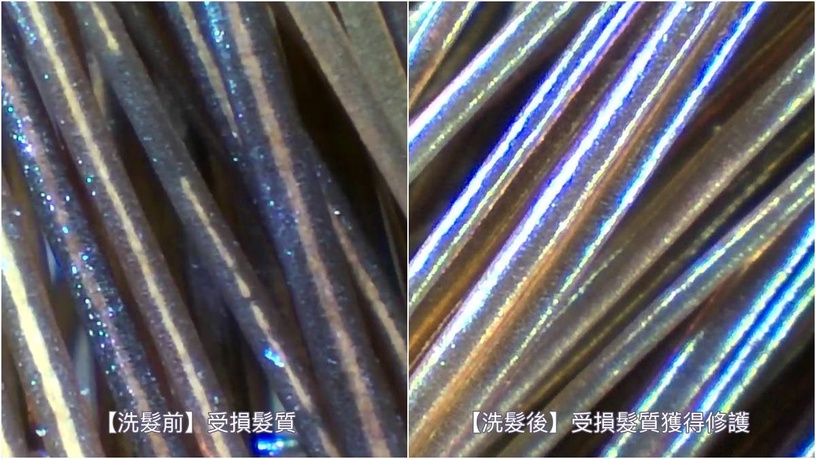 Dove多芬 胜肽水光瓶 9倍強韌 修護洗髮精推薦