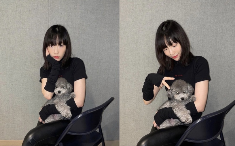 盤點6位韓國偶像的超紅寵物!LISA寵物貓是百萬Youtuber,太妍毛小孩紅到出聯名商品