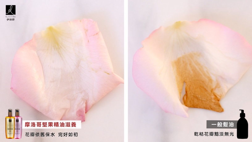 髮的打底保養術「Elastine胺基酸修護精華髮油」胺基酸瞬效吸收,免沖洗秒收毛躁枯髮!
