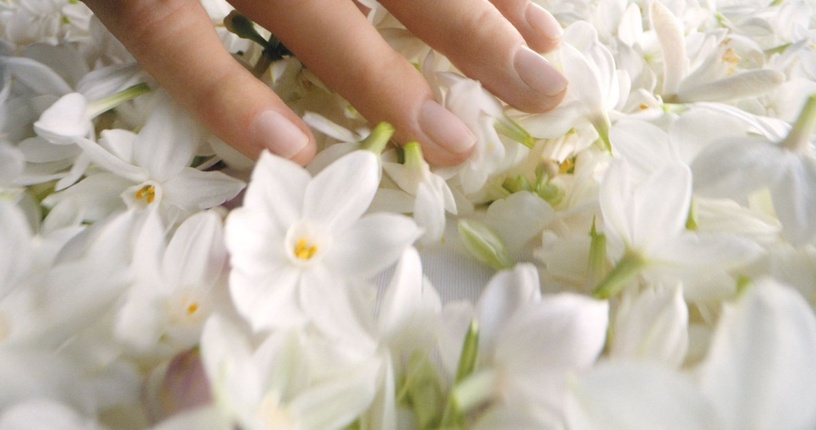 DIOR 迪奧 Jadore澄淨香氛 水基底香水 南法格拉斯橙花