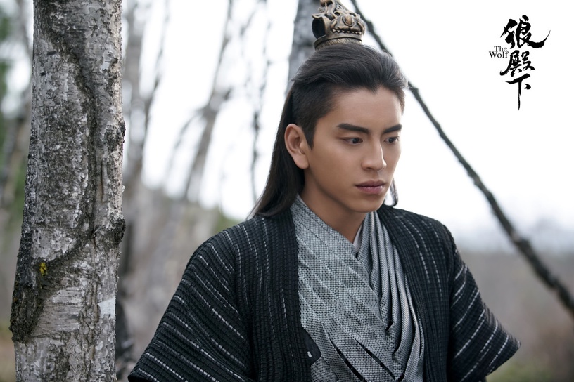 10位「出演陸劇」台灣男星!王大陸《狼殿下》有肖戰作配,林柏叡《蒼蘭訣》演觴闕爆紅