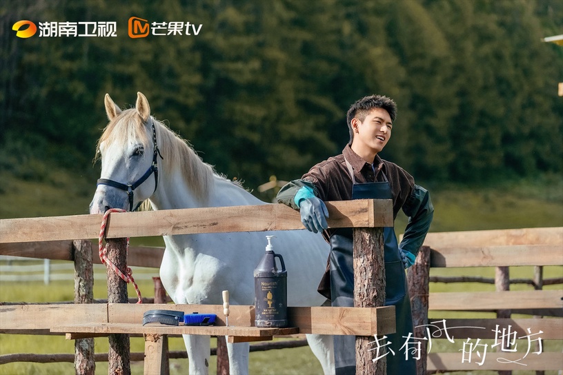 《去有風的地方》劇情+角色介紹、演員陣容!劉亦菲&李現共譜田園戀情,首播獲高評價!