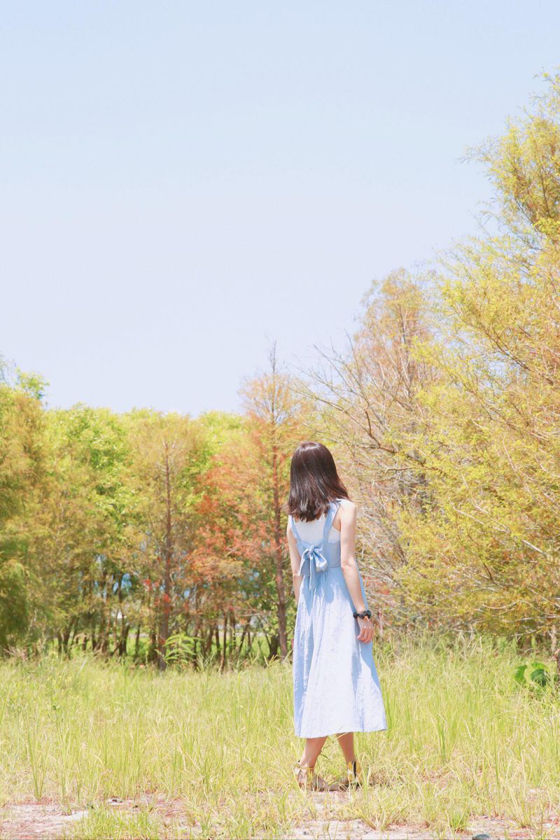 │ Amigo專欄 │在宜蘭發現美美的落羽松秘境