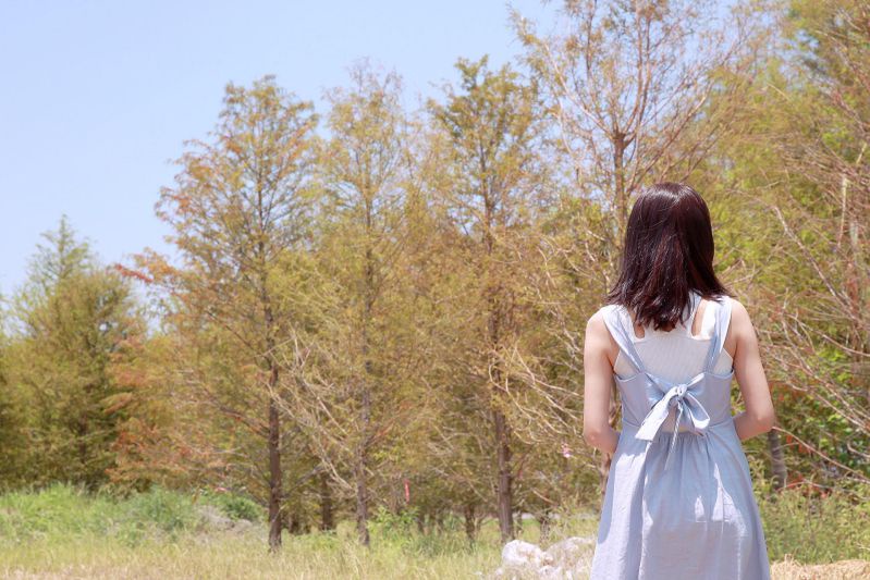 │ Amigo專欄 │在宜蘭發現美美的落羽松秘境