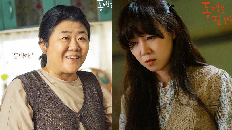 徐玄振《Black Dog》飆戲羅美蘭!5演員對戲老戲骨,南柱赫被金惠子叫「歐爸」毫不違和