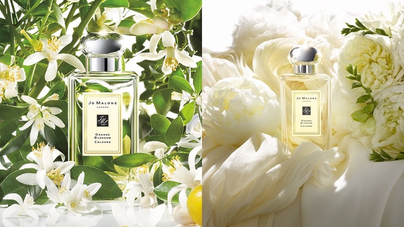 Top 1. 藍風鈴(Wild bluebell)30ml/100ml,NT.2470/4950
