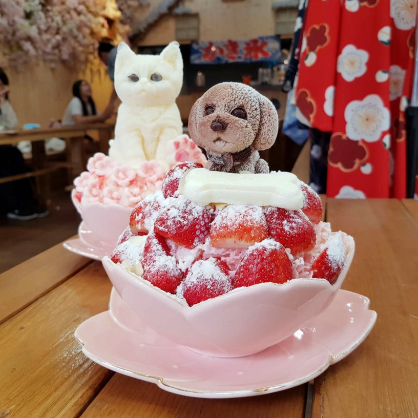 貓奴必吃的雪花冰!高雄「雪花殿」超萌的少女系冰品,上面竟然還有白色貓咪&貴冰狗