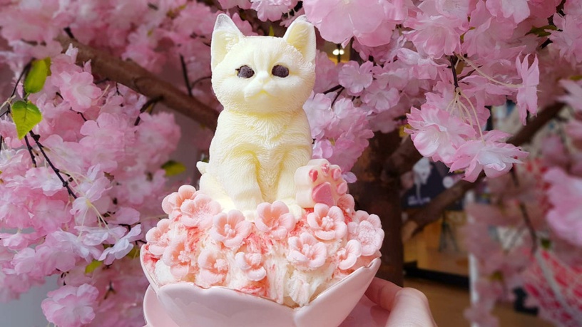 貓奴必吃的雪花冰!高雄「雪花殿」超萌的少女系冰品,上面竟然還有白色貓咪&貴冰狗