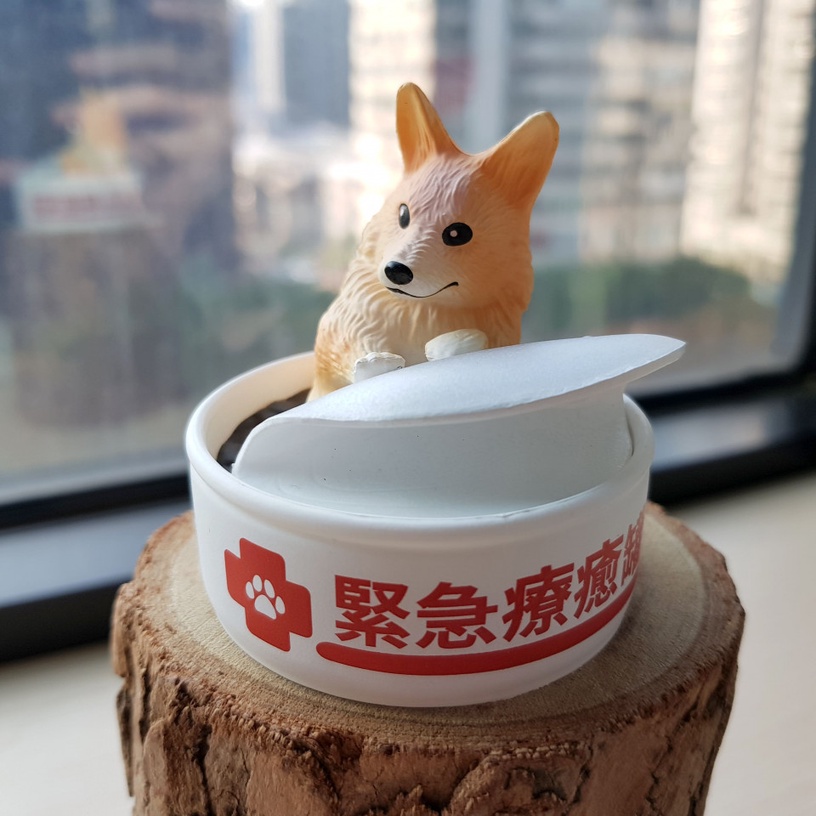 眾所期待的「柯基罐罐」終於要上市啦!5款柯基躲在罐罐的造型,呆萌形象認真好可愛