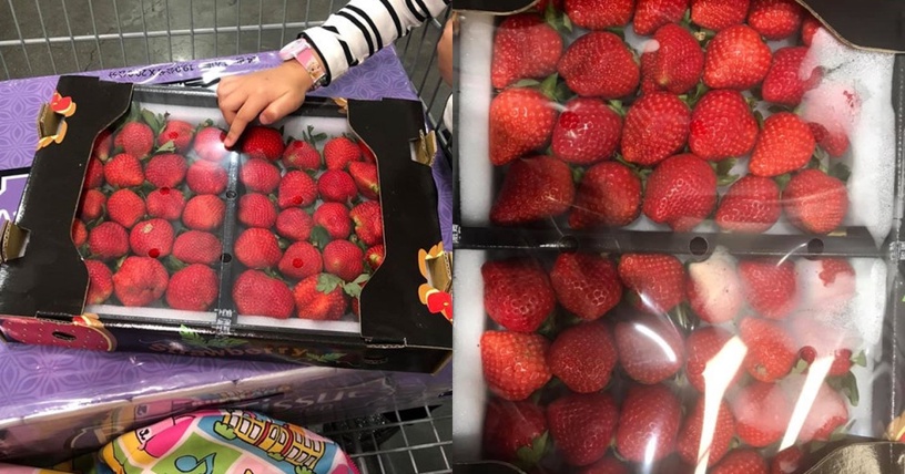 草莓控快衝!COSTCO「大湖草莓」強勢回歸,滿滿超大顆草莓就在好市多!