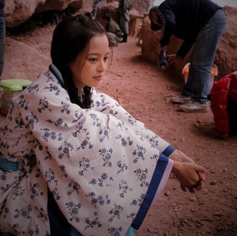 《如懿傳》惡毒嘉妃變《慶餘年》呆萌俠女!辛芷蕾10古裝女神角色,《狼殿下》超美