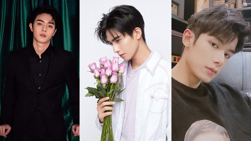 下一站是幸福宋威龙接续许凯爆红10个于正力捧男星全都演过延禧凤囚凰