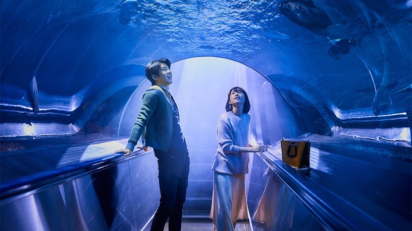 2020情人節約會就看這7部!金獎導演《雨天,紐約》浪漫鉅獻,蒼井優&高橋一生激情狂愛