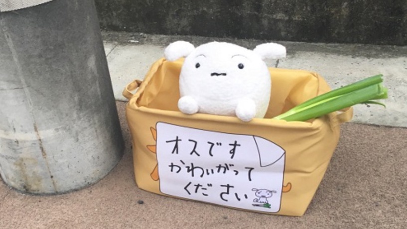蠟筆小新背的「黃色小書包」實體化啦!跟小新一起到雙葉幼稚園、加入春日部防衛隊~
