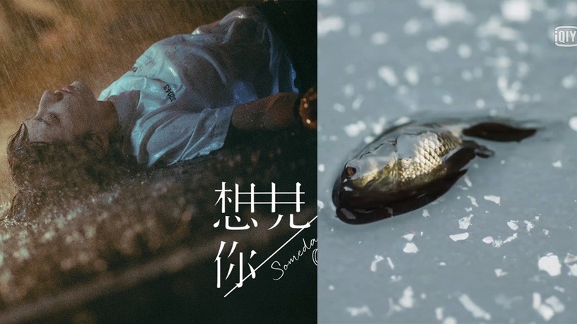 《想見你》片頭藏超多魔鬼細節!金魚有隱喻,片頭片尾連著看,竟是「穿越新循環開始」