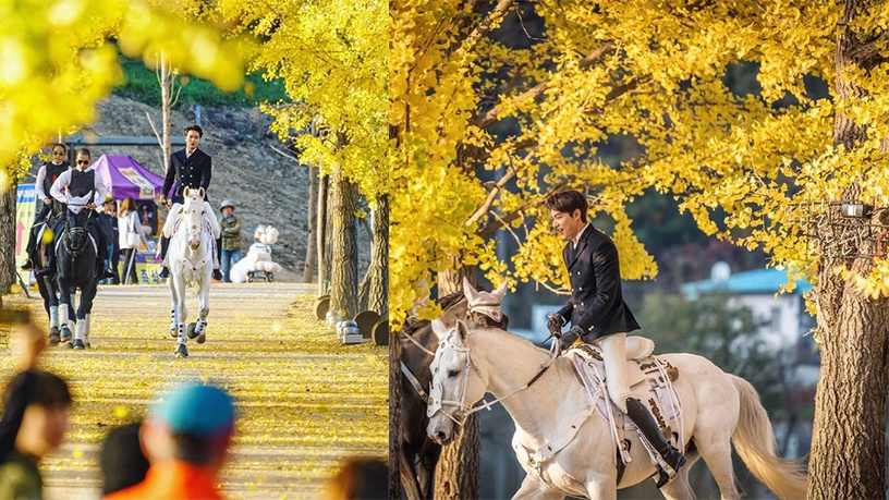 《The King:永遠的君主》定檔4月!路透賽艇&打球&騎馬帥翻,李敏鎬「君主制服」曝光