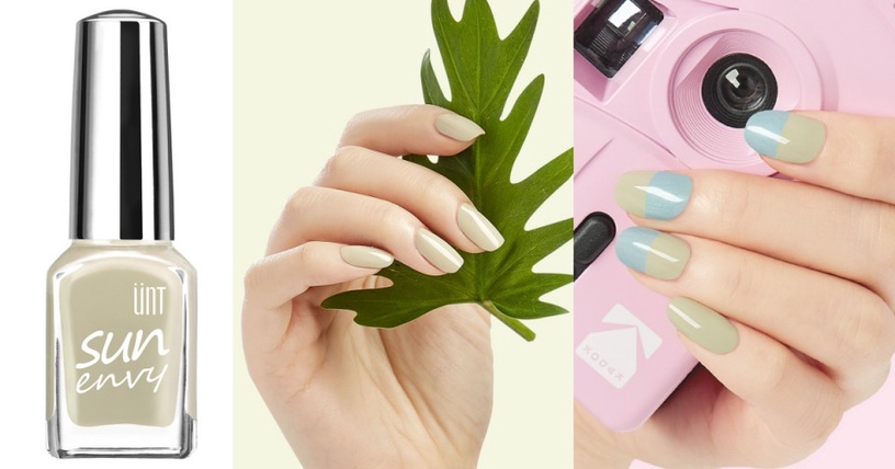 鼠尾草綠美甲圖鑑1:鼠尾草綠美甲X金箔