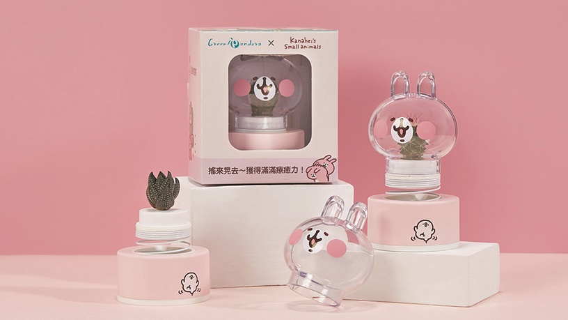 7-11預購再一波!連珍芋泥布丁燒&卡娜赫拉多肉植物舒壓小物,超療癒商品就在這天開賣