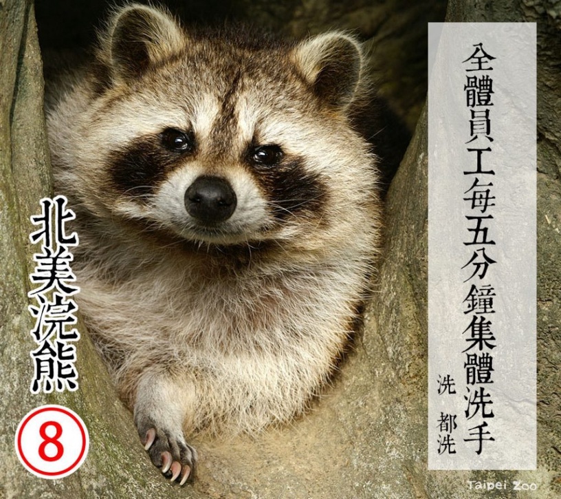 防疫動物也有責!台北市立動物園推出「超ㄎㄧㄤ動物防疫政見發表」,萌度破表啦!