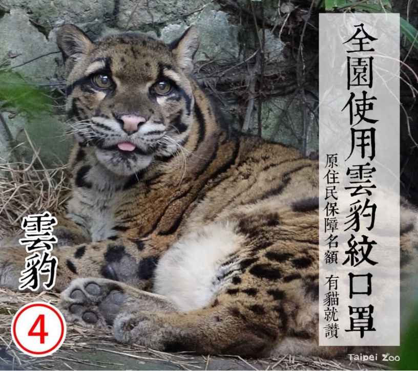 防疫動物也有責!台北市立動物園推出「超ㄎㄧㄤ動物防疫政見發表」,萌度破表啦!