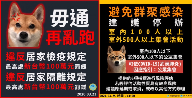「防疫豬隊友」最新名詞出爐!防疫期間趴趴走的「Covidiot」,新冠白癡例句解析!