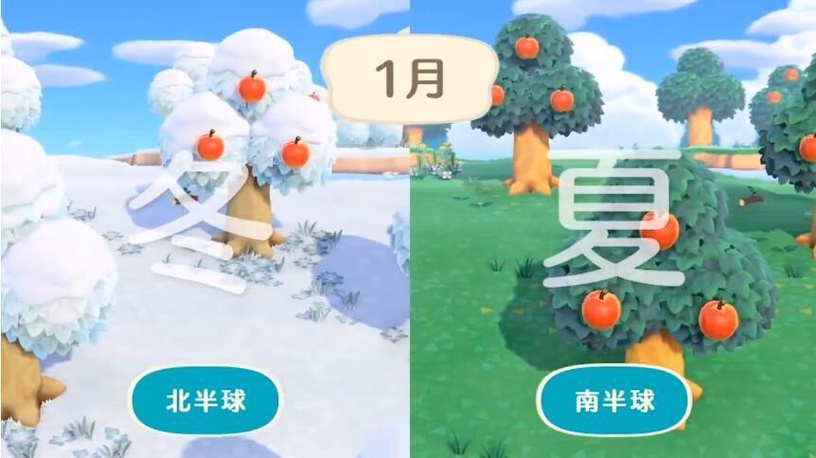 《集合啦!動物森友會》熱度席捲全球!五大入坑理由告訴你它好玩在哪!