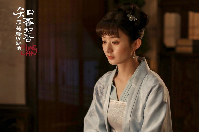 網評10大「最愛的大女主陸劇人設」!《知否》明蘭、《延禧》魏姐,認真搞事業女主帥炸