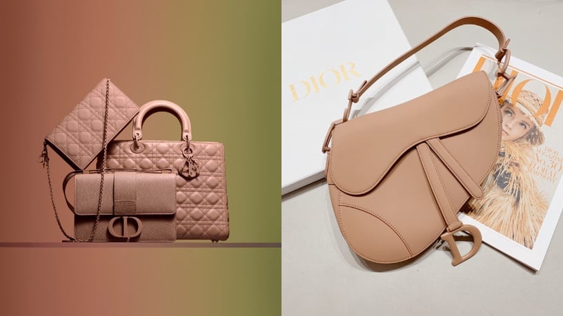 奶茶色包包推薦:DIOR 極致霧彩Saddle馬鞍包,NT$115,000