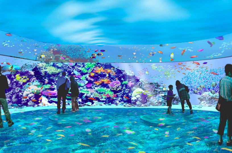 桃園「Xpark 八景島水族館」門票7/24開放預購!Xcafe 咖啡廳抬頭就能觀賞麥哲倫企鵝!