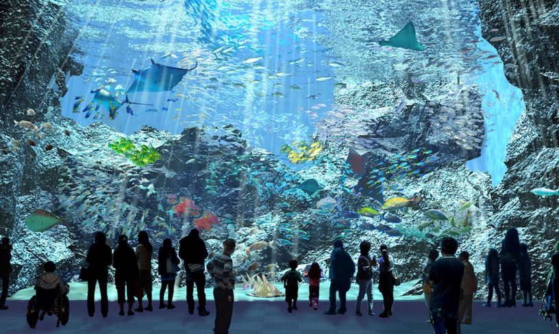 桃園「Xpark 八景島水族館」門票7/24開放預購!Xcafe 咖啡廳抬頭就能觀賞麥哲倫企鵝!