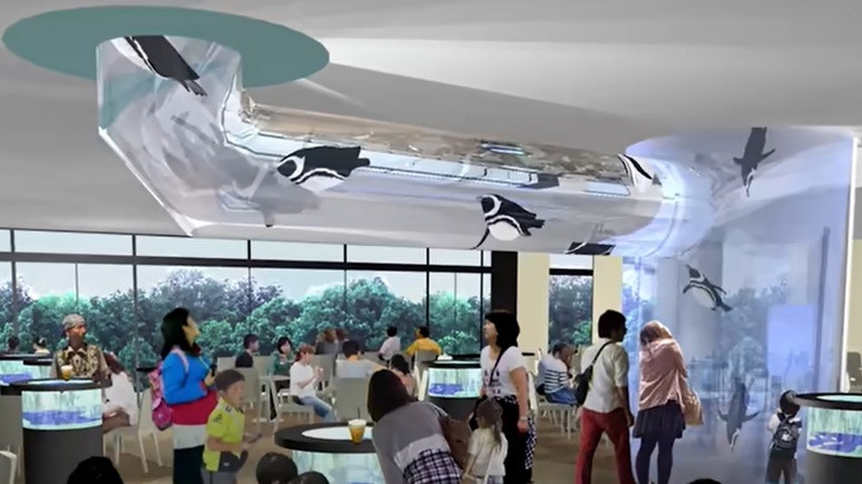 桃園「Xpark 八景島水族館」門票7/24開放預購!Xcafe 咖啡廳抬頭就能觀賞麥哲倫企鵝!